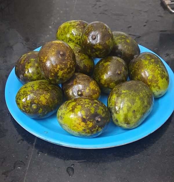 Mango (നാട്ടുമാങ്ങ)